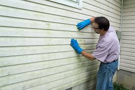 Professional Siding in Grove City, FL